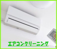 �G�A�R���N���[�j���O�F�{